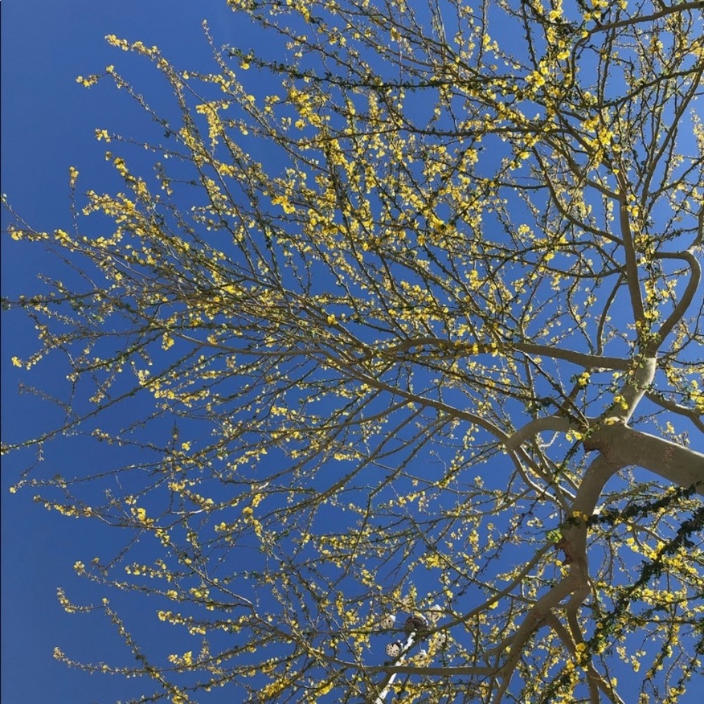 Welcome - Picture 8 of 14